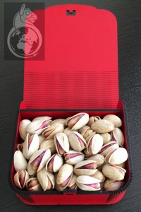 چوبی 5